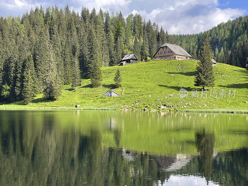 湖上的山地牧场Planina pri Jezeru，朱利安阿尔卑斯山